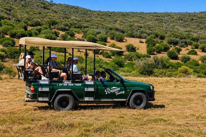 Safari de dientes y garras de Schotia: la mejor experiencia de vida silvestre Big5