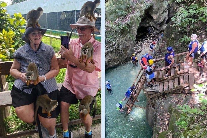 monkey paradise experience & 7 waterfalls damajagua