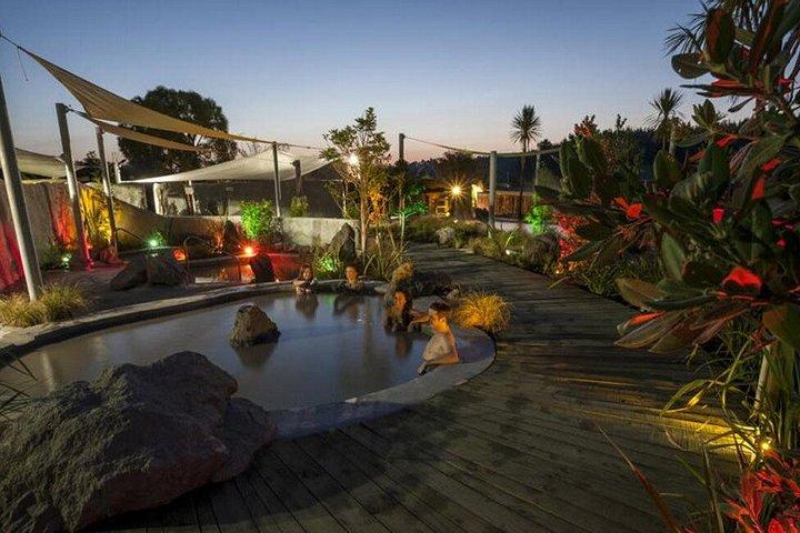 ヘルズゲート地熱ウォーク、マッドバス、サルファースパ体験