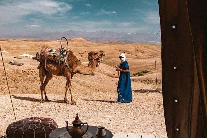 From Marrakech: Ourika Valley & Agafay Desert Full-Day Trip