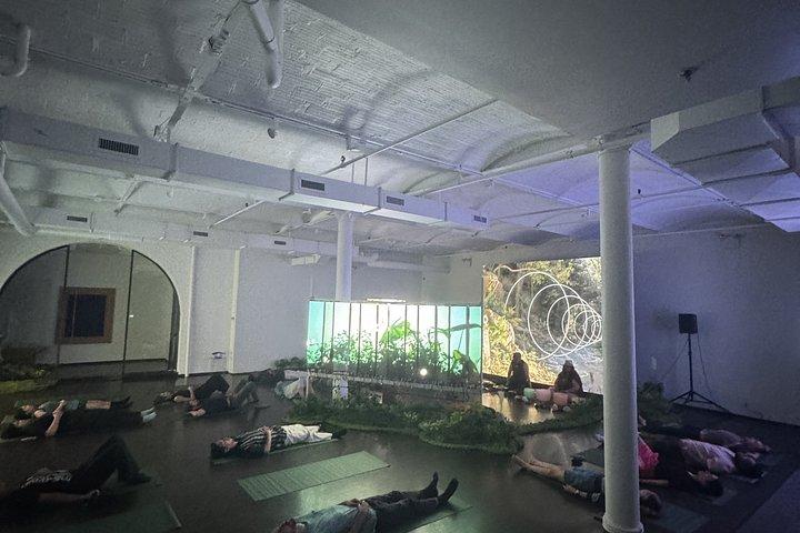 Digital skov En fordybende meditationsoplevelse