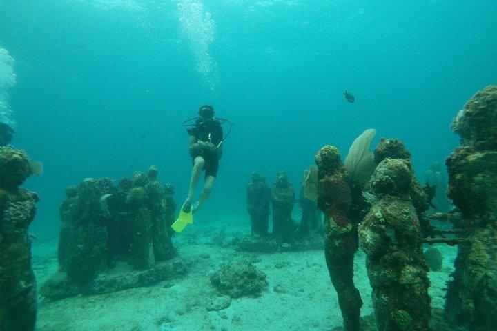 Isla Mujeres Beginner/Family Scuba Diving Experience