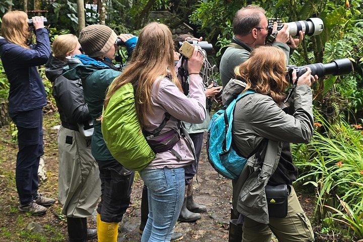 Foresta privata delle nuvole di Mindo con birdwatching e fotografia
