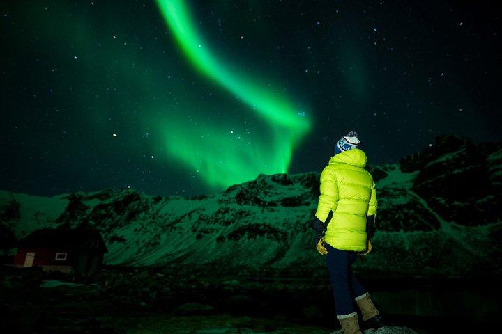 Tromsø: Northern Lights Minibus Chase with Photo Guide