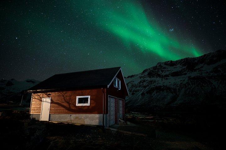 Tromsø : オーロラ・ミニバスチェイス（フォトガイド付き）