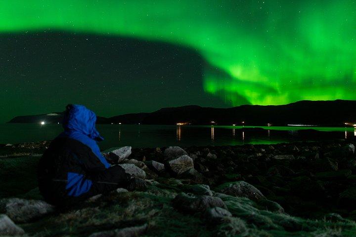 Tromsø : オーロラ・ミニバスチェイス（フォトガイド付き）