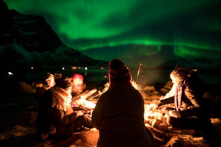 Tromsø : オーロラ・ミニバスチェイス（フォトガイド付き）