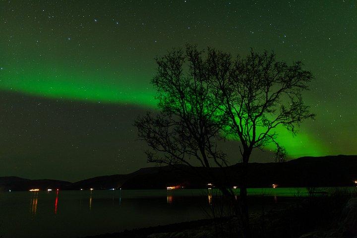 Tromsø : オーロラ・ミニバスチェイス（フォトガイド付き）