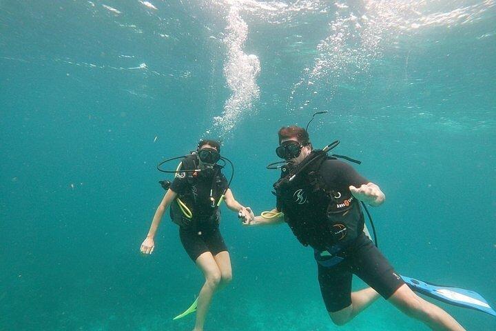 PADI Open Water Diver Certification Course in Isla Mujeres