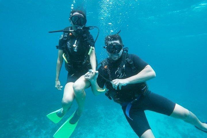 PADI Open Water Diver Certification Course in Isla Mujeres
