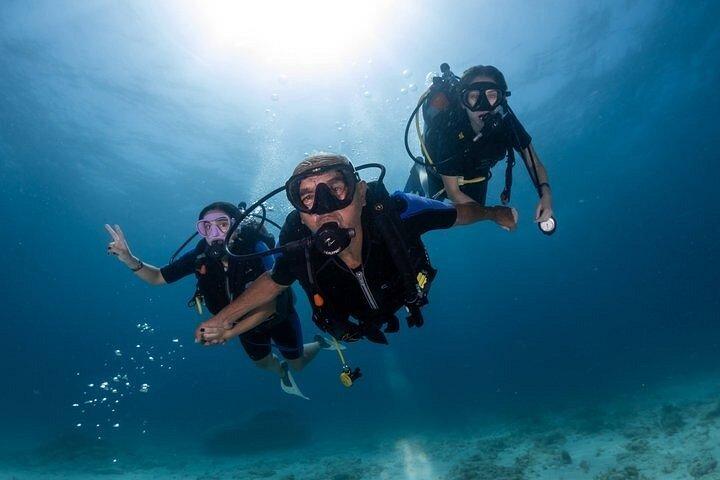 PADI Open Water Diver Certification Course in Isla Mujeres