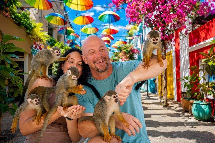 Monkeys and City Center(Puerto Plata)