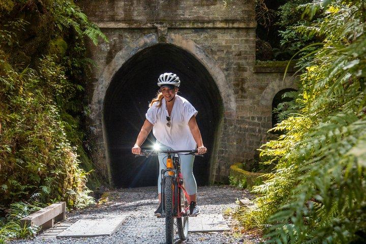Wellington Remutaka Rail Trail eBike Cycle Tour
