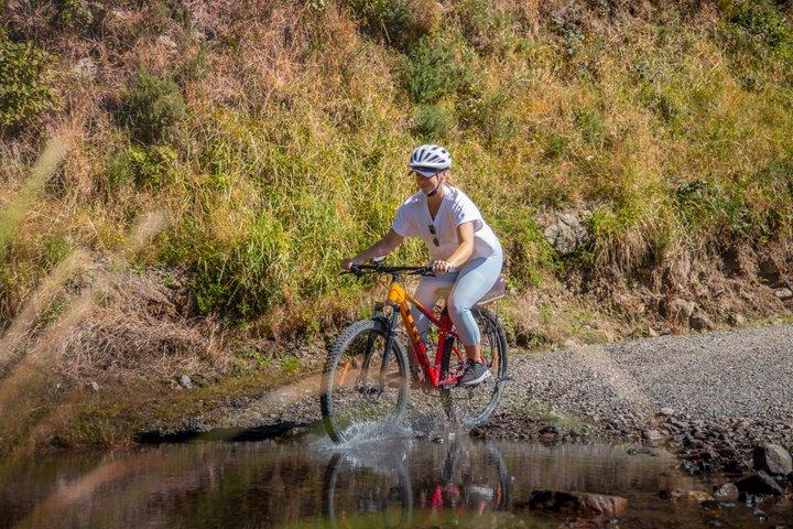 Remutaka Rail Trail Mountain Bike Explorer