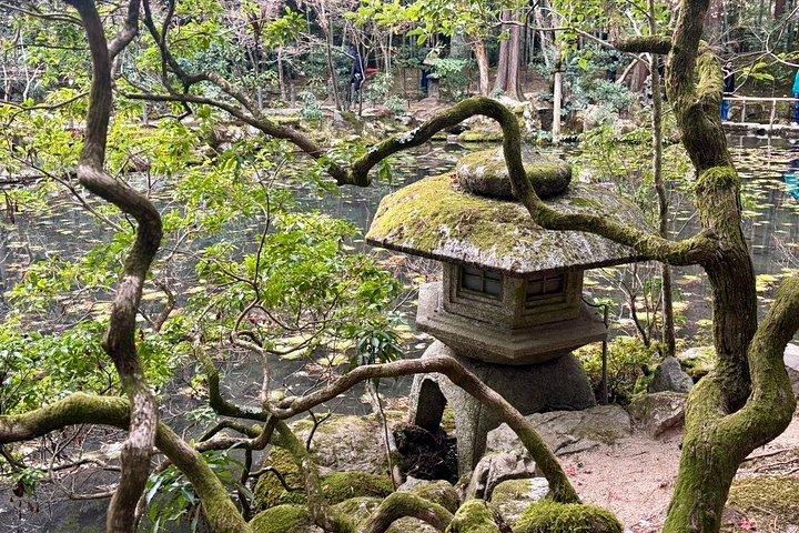 京都庭園ツアーとミニガーデン作り体験