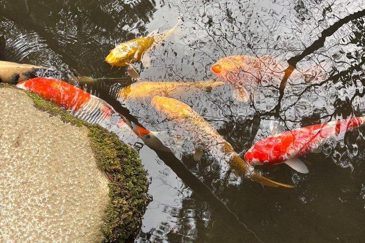 京都庭園ツアーとミニガーデン作り体験
