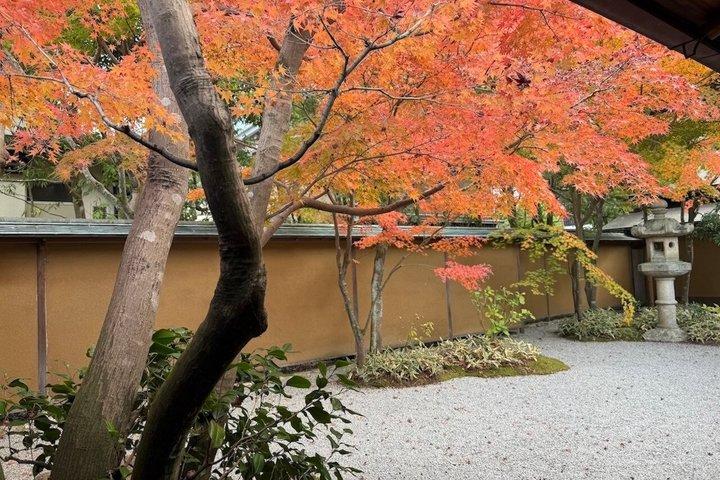 Halvdags privat och anpassningsbar tur med Kamakura-Born Guide