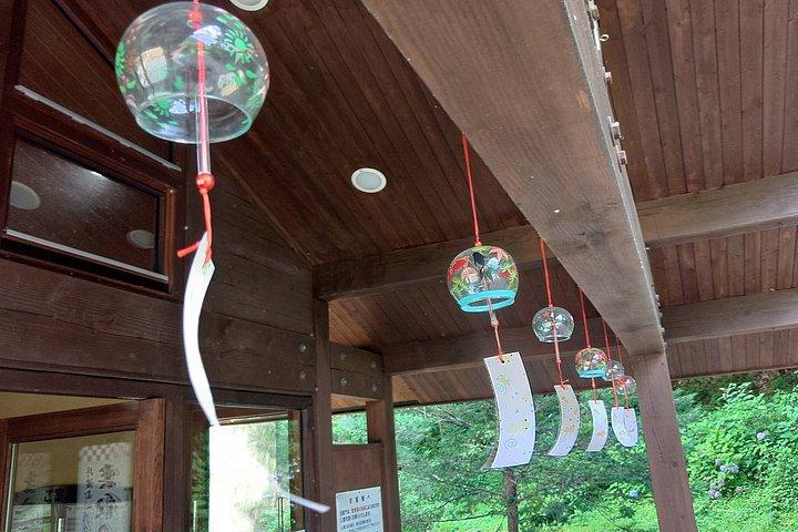 新宿から奥多摩・田場山へ隠れた田舎日本日帰り旅行
