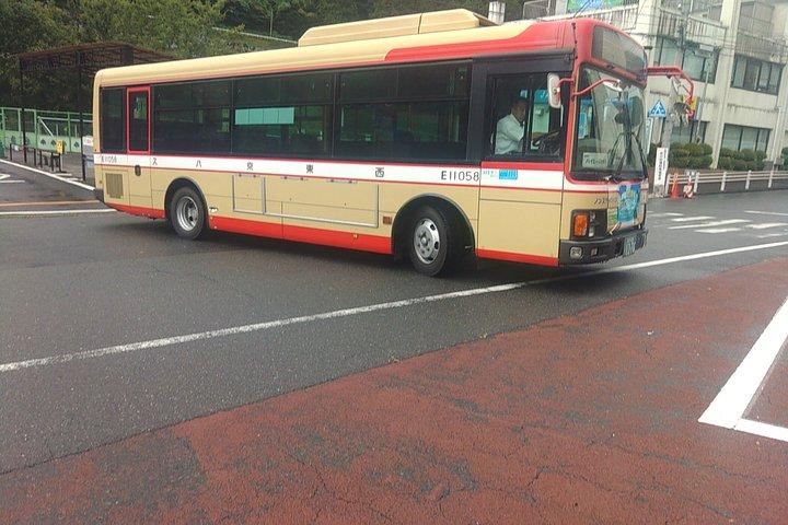 新宿から奥多摩・田場山へ隠れた田舎日本日帰り旅行
