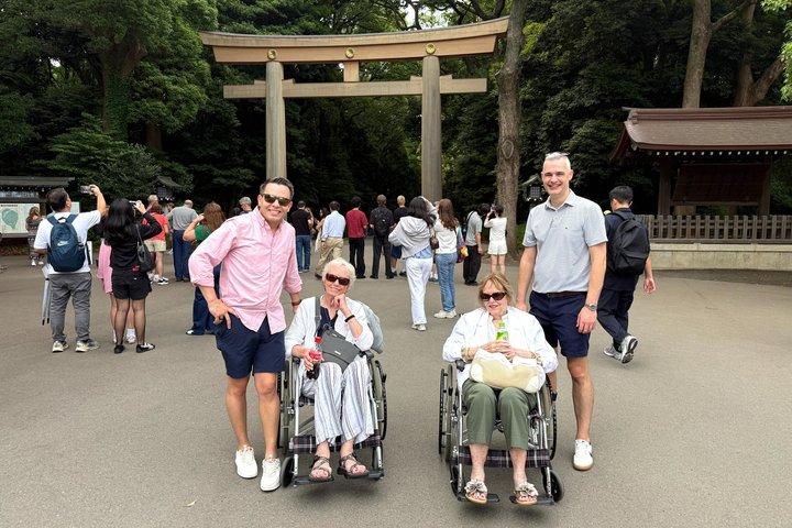 Full-Day Accessible Tour of Tokyo for Wheelchair Users