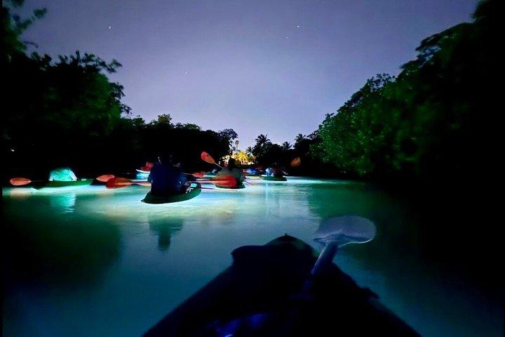 Excursion guidée d'aventure nocturne en kayak dans un lagon lumineux