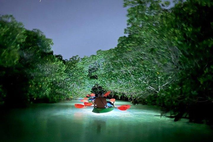 Excursion guidée d'aventure nocturne en kayak dans un lagon lumineux