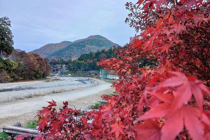 新宿から奥多摩・田場山へ隠れた田舎日本日帰り旅行