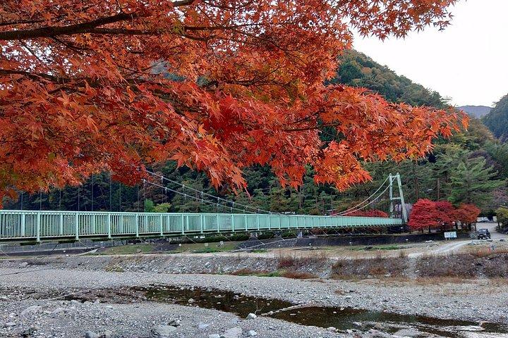 新宿から奥多摩・田場山へ隠れた田舎日本日帰り旅行