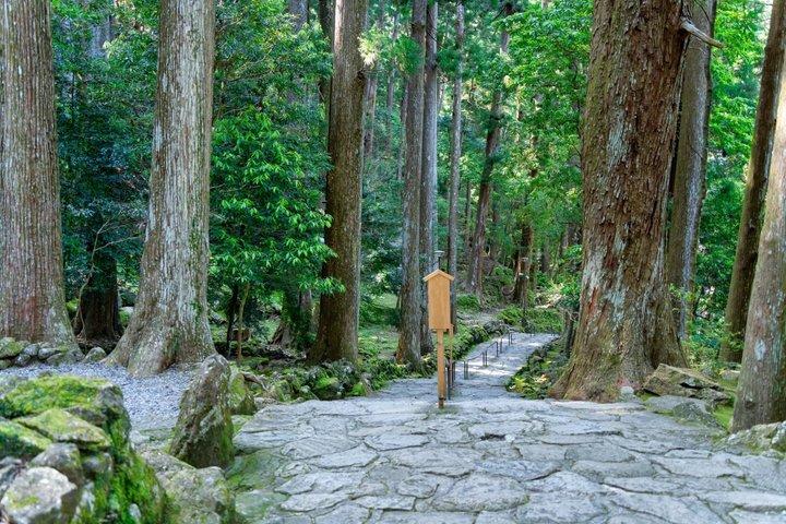 4 Days Temple Stay and Kumano Kodo Tour