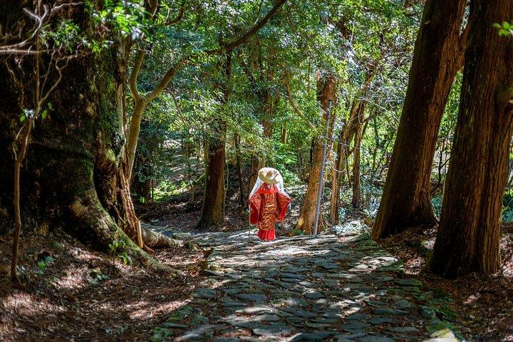 4日間の寺院滞在と熊野古道ツアー