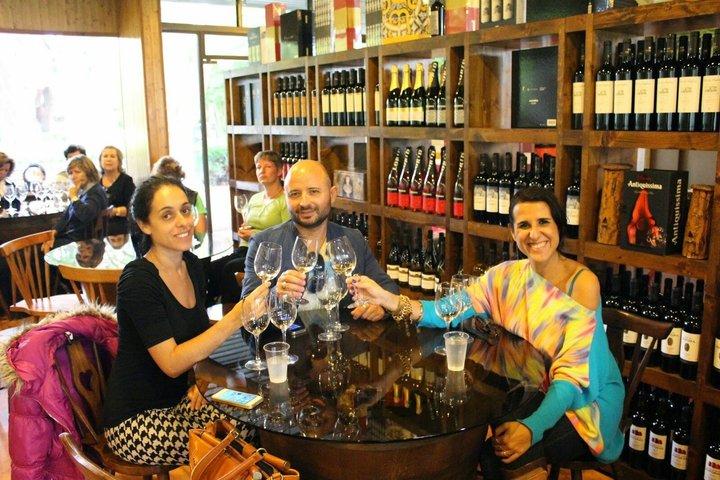 Setúbal Wine Tour from Lisbon with 2 Wineries and Tastings