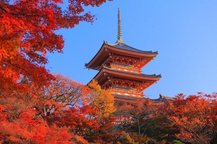 清水寺と歴史ガイド付き祇園散策