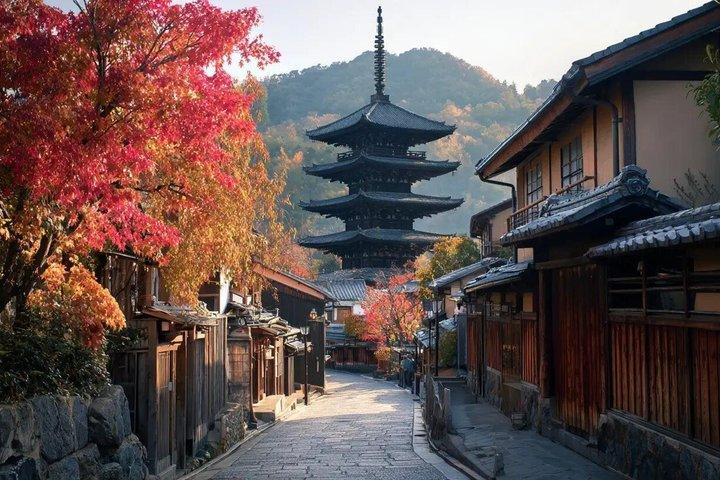 清水寺と歴史ガイド付き祇園散策