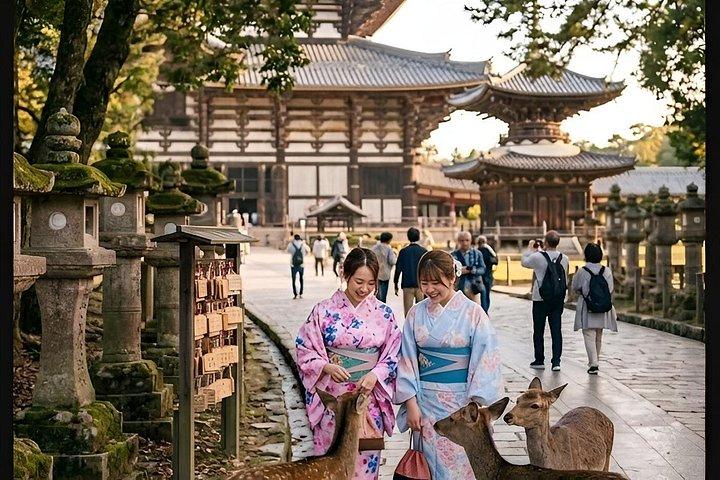 快適車で巡る大阪10時間プライベートカスタマイズ日帰りツアー