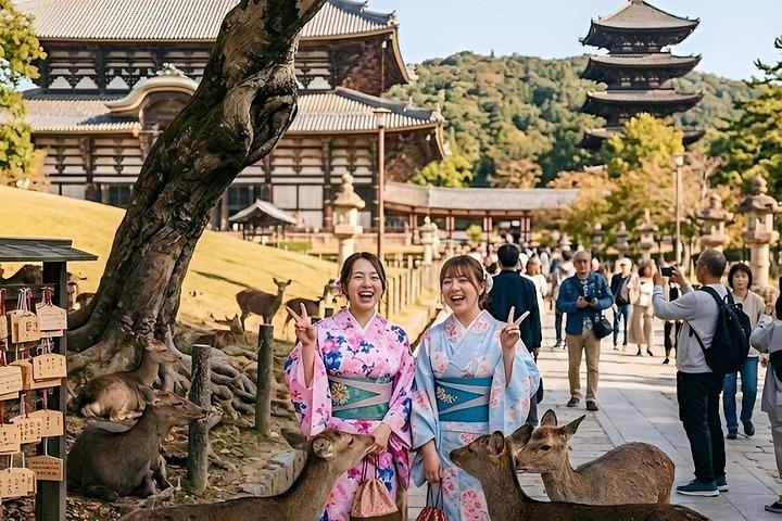 快適車で巡る大阪10時間プライベートカスタマイズ日帰りツアー