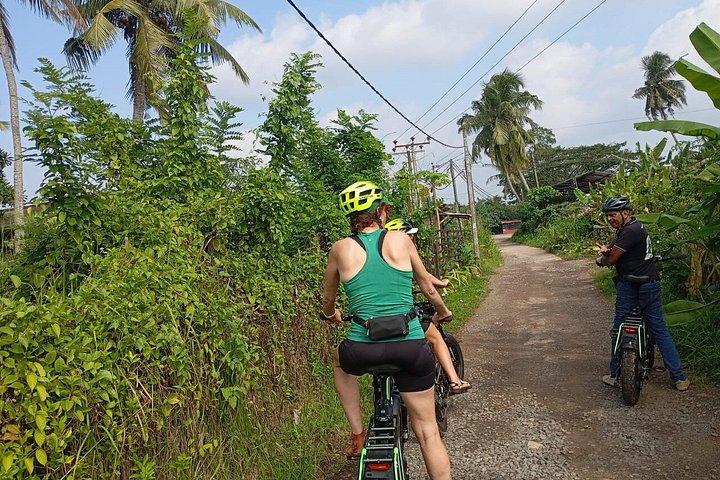 E-bikeツアー ゴール 田園レトロスタイルのE-Bike