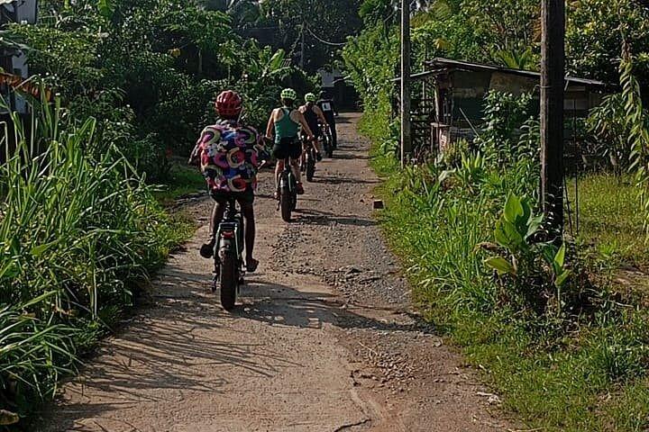 E-bikeツアー ゴール 田園レトロスタイルのE-Bike