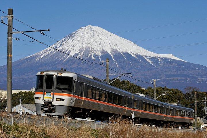 Mt Fuji Views and Hokusai Special Train Ride from Mishima