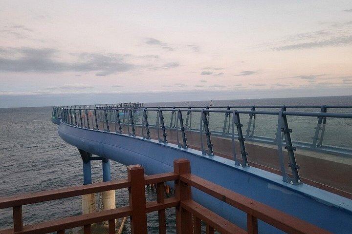 Busan Private Tour with an official tour guide