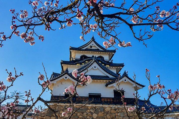 京都発・プライベート彦根城＆琵琶湖ツアー