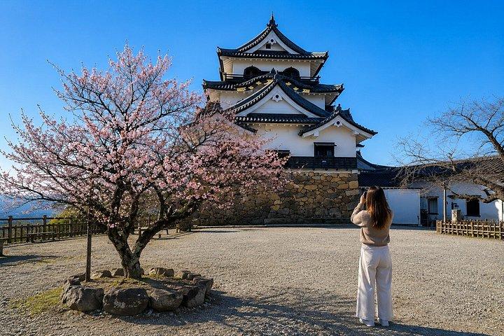 京都発・プライベート彦根城＆琵琶湖ツアー