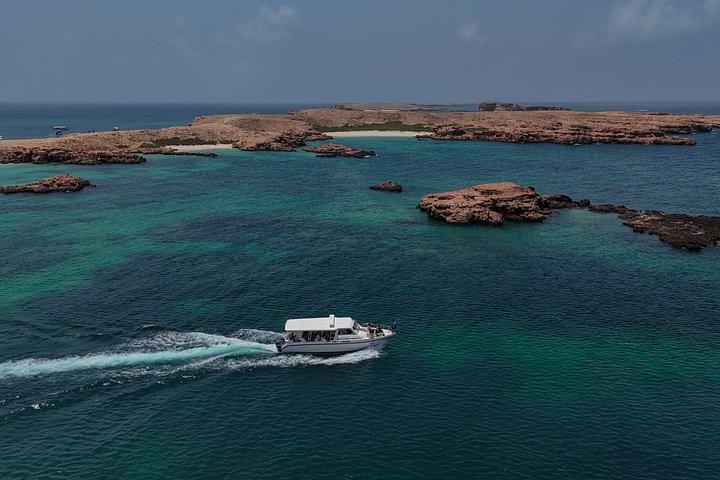 ディマニヤット諸島タートルと海洋生物シュノーケリングアドベンチャー