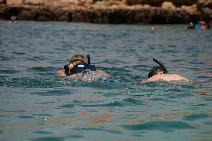 ディマニヤット諸島タートルと海洋生物シュノーケリングアドベンチャー