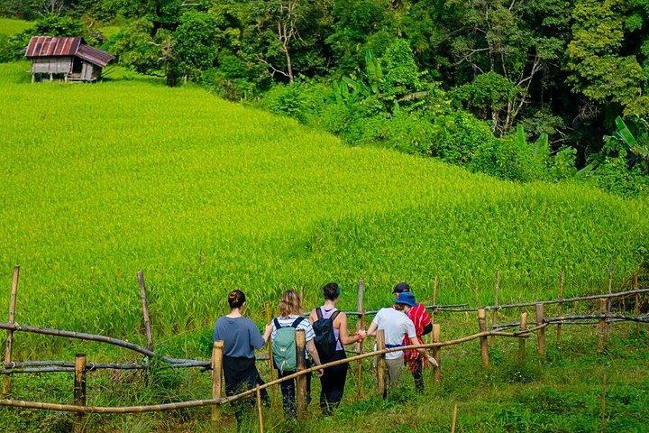 チェンマイの山岳部族での1日ジャングルトレッキングと竹筏漂流