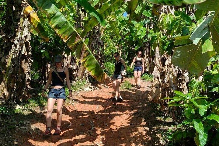 チェンマイの山岳部族での1日ジャングルトレッキングと竹筏漂流