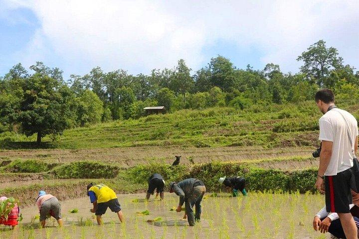 チェンマイの山岳部族での1日ジャングルトレッキングと竹筏漂流