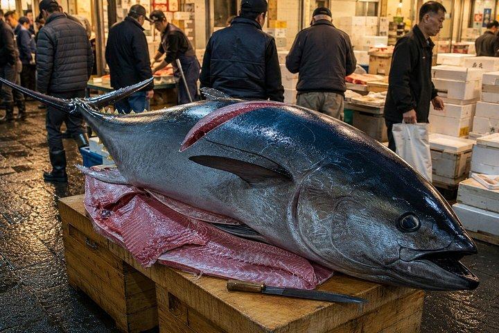 チームラボプラネッツ マグロ解体で東京プライベートツアー