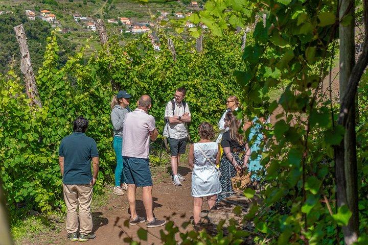 Madeira Off Road Wine Safari