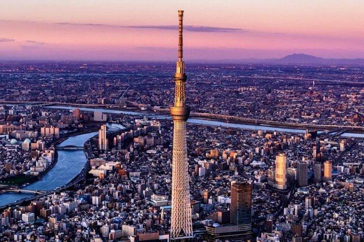 Full Day Tokyo Private Sightseeing City Tour