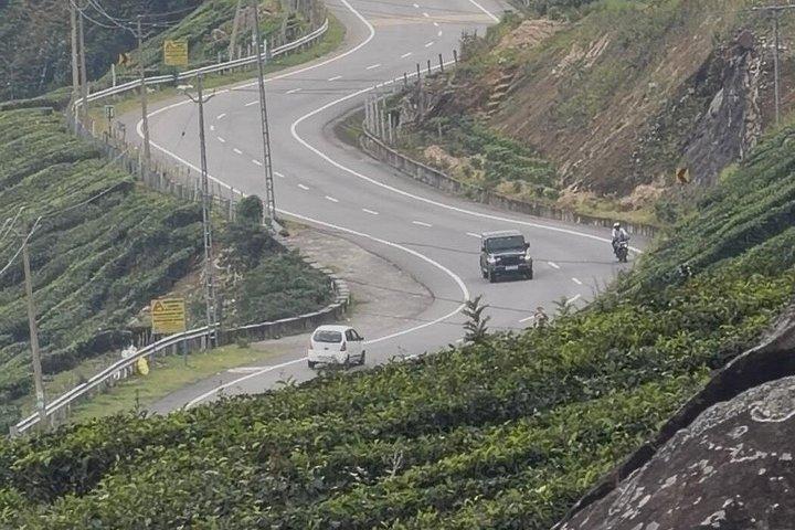 コーチプライベートムンナール日帰りツアー